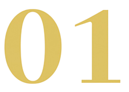 Screenshot_2025-06-25_202302-removebg-preview